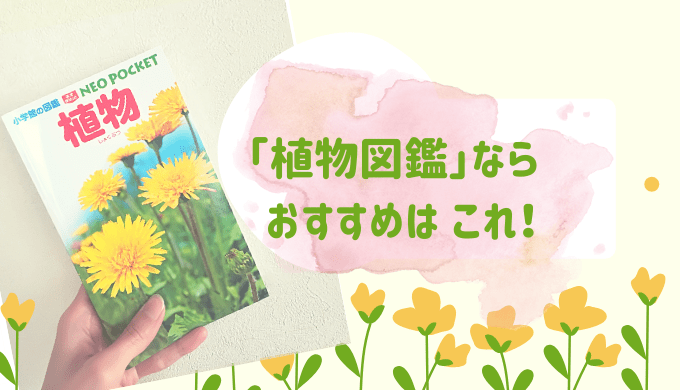 植物図鑑はポケット版がオススメ お散歩やお出かけに持ち運び便利 こども教育図鑑