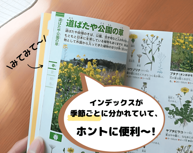 小学館　植物ポケット図鑑index
